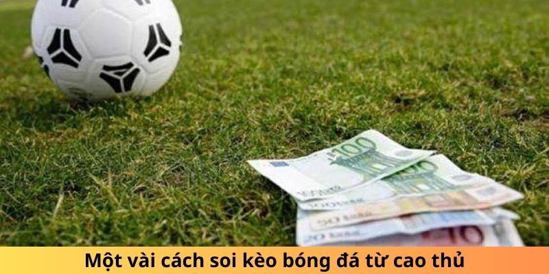 Không nên chạy theo đám đông trong cách soi kèo bóng đá