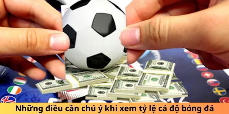 Những điều cần chú ý khi xem tỷ lệ cá độ bóng đá